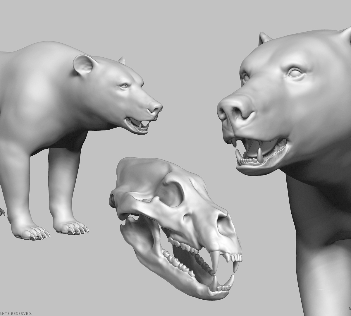 manuelf3d-Brown-Bear-Highpoly-sculpt-9.jpg