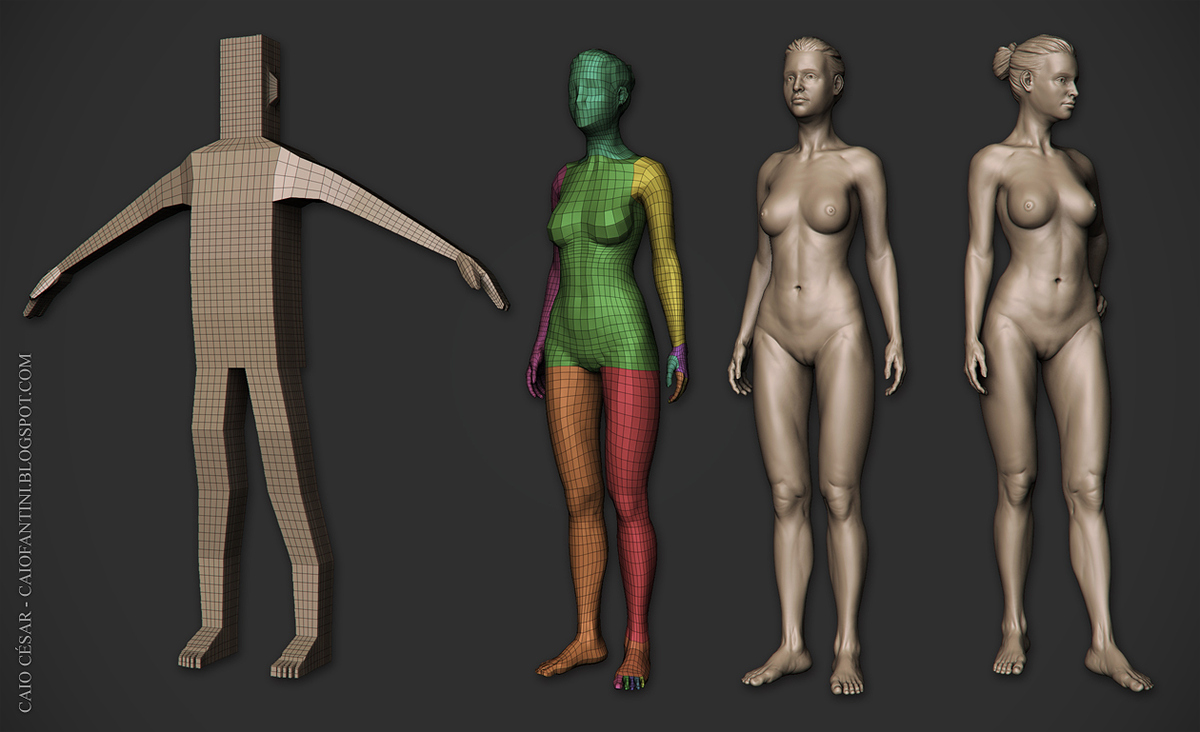 etapas-mulher-01