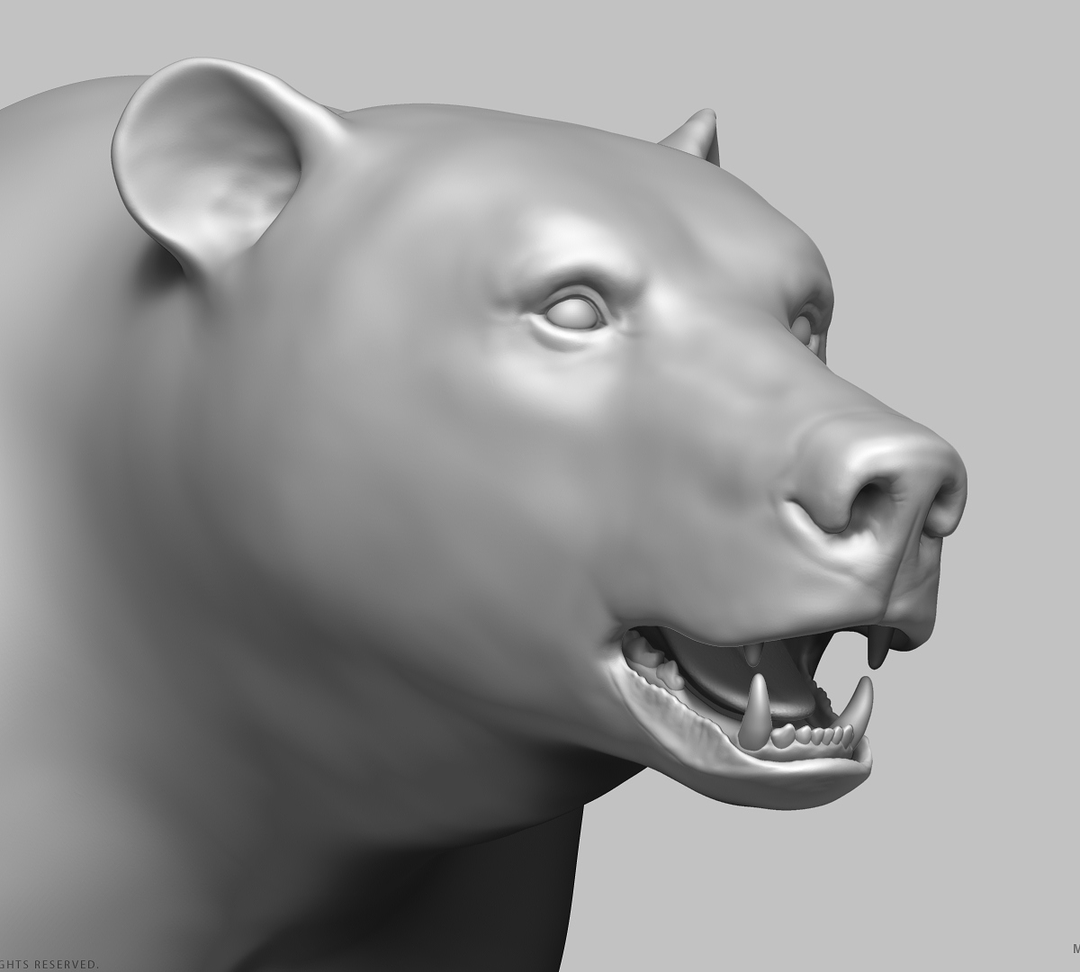 manuelf3d-Brown-Bear-Highpoly-sculpt-3.jpg