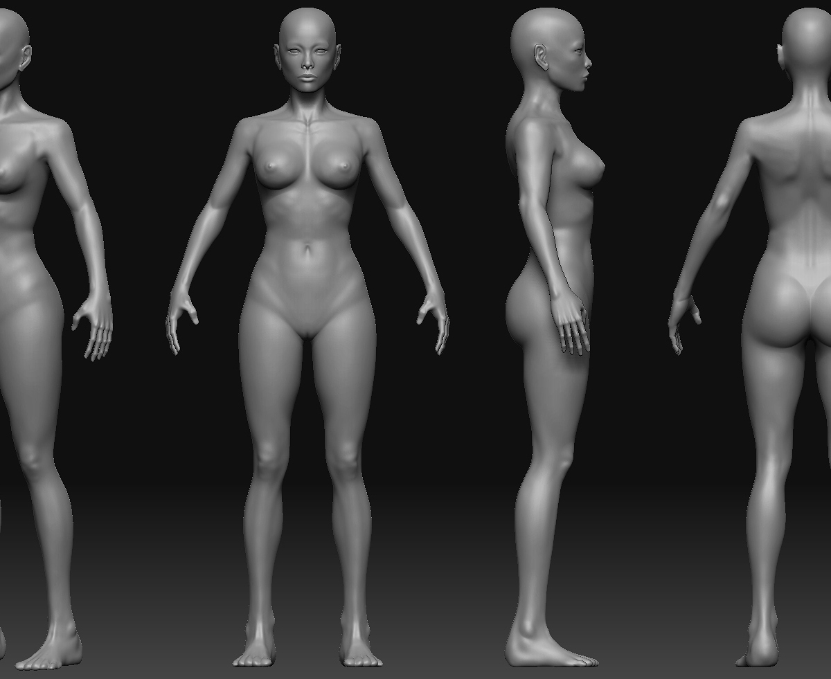 nude model sheet.jpg