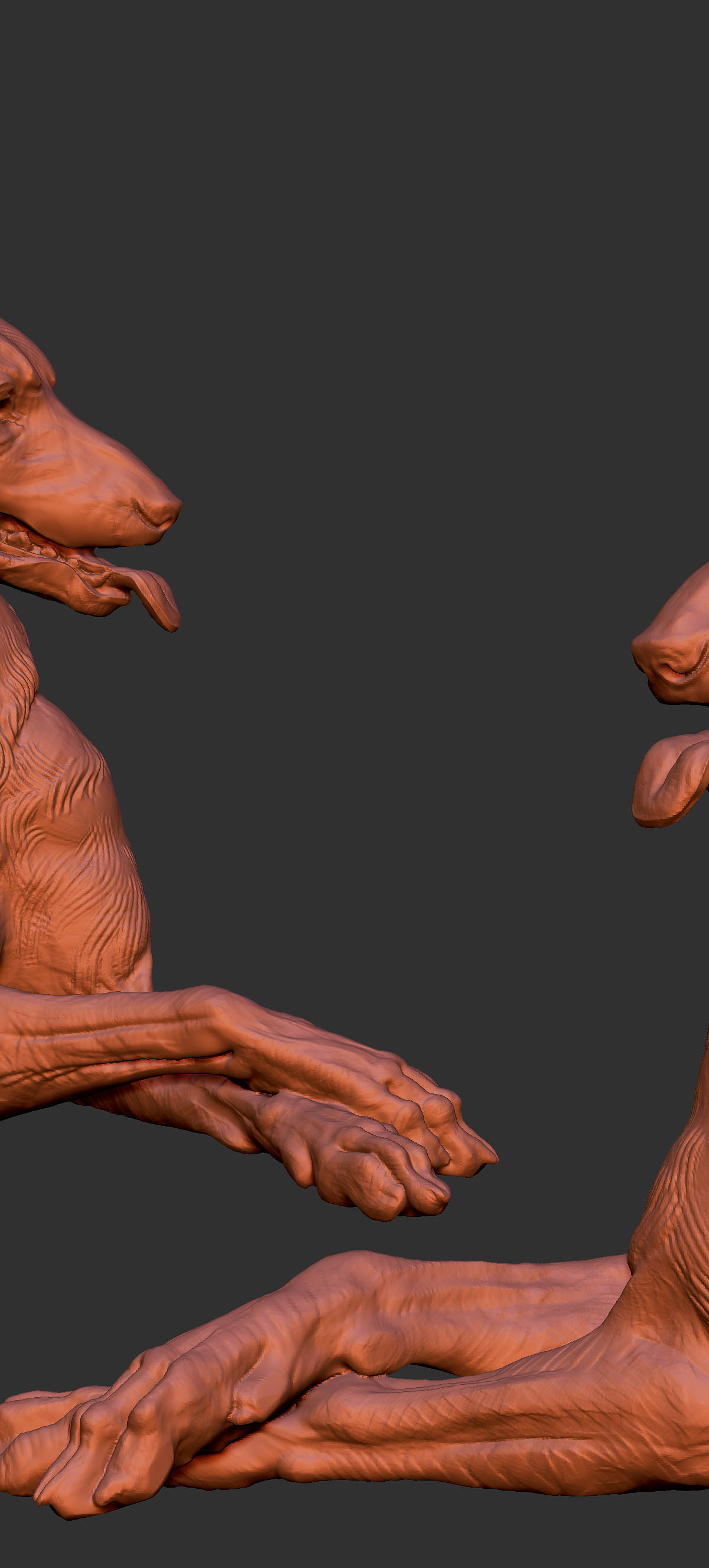 dog2.jpg
