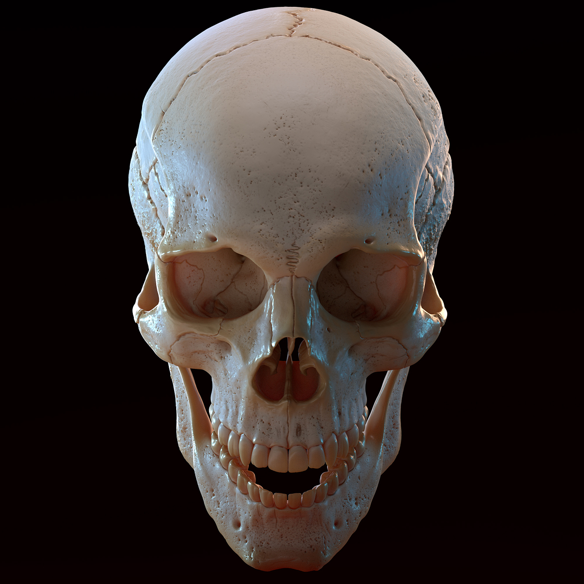 Skull_04