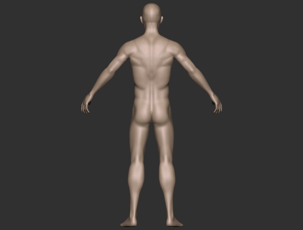 back render.jpg
