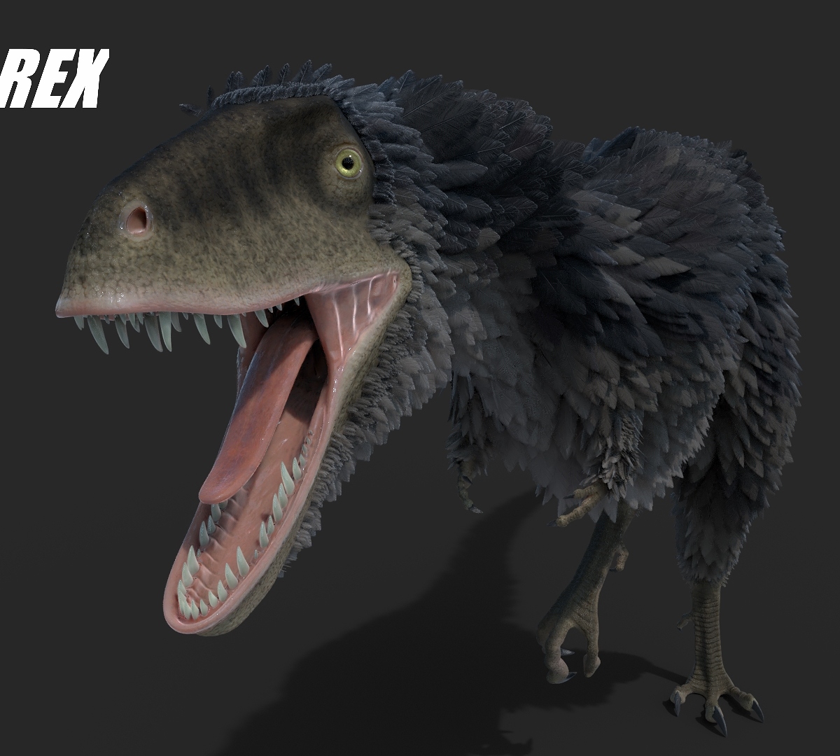 Raptorex5_by_Jeannot_Landry_2018.jpg