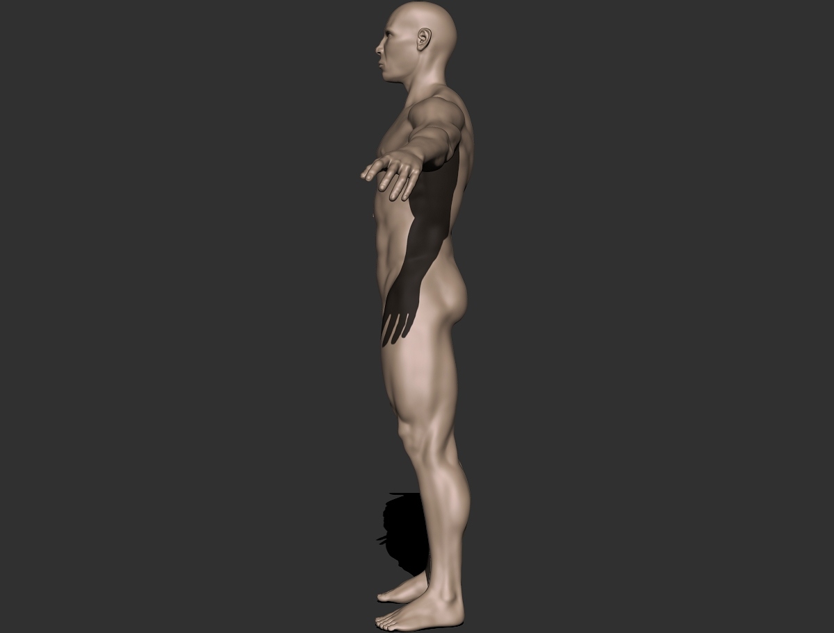 bodybuilderupdate_profile.jpg
