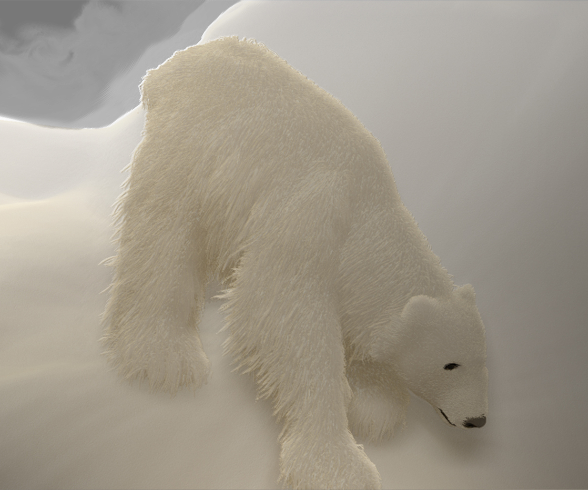 POLAR-BEAR-EXPERIMENT-33.jpg