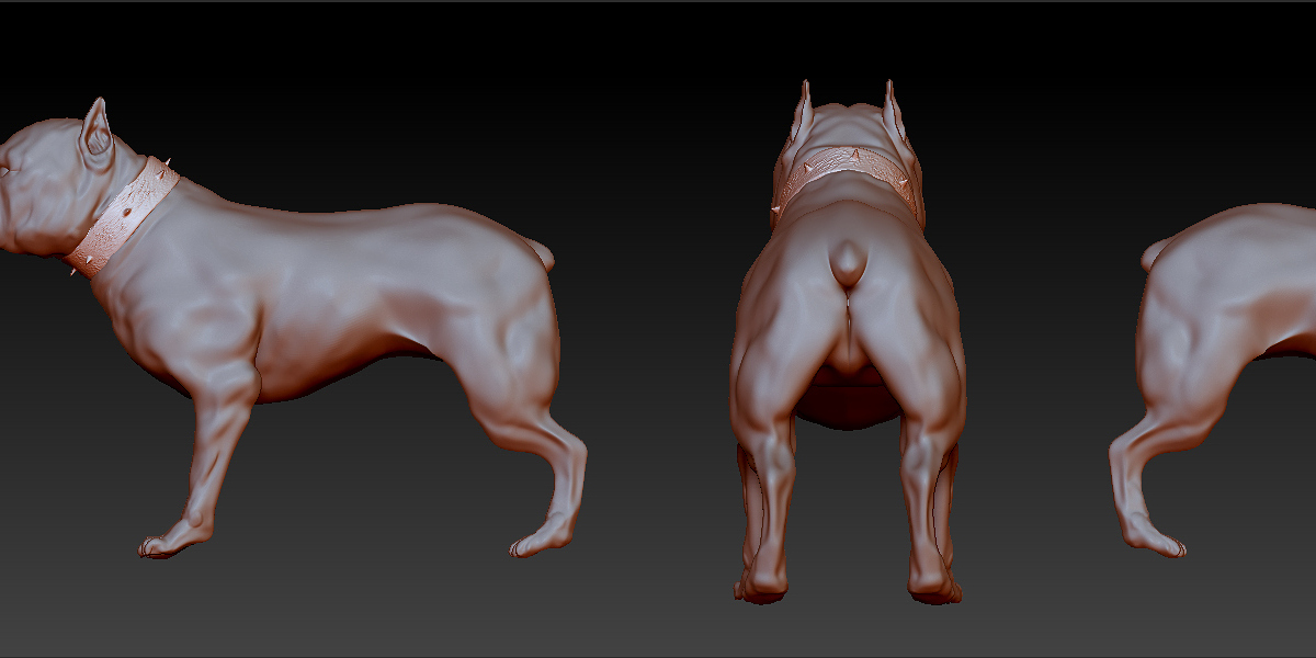 Pitbull CharacterStrip.jpg