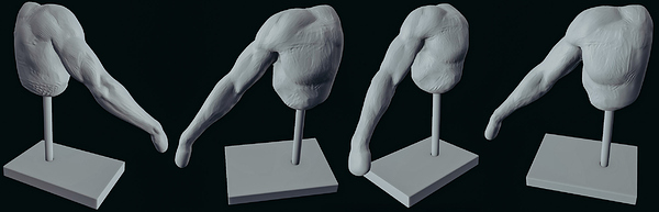 Arm-Study-02_Gray