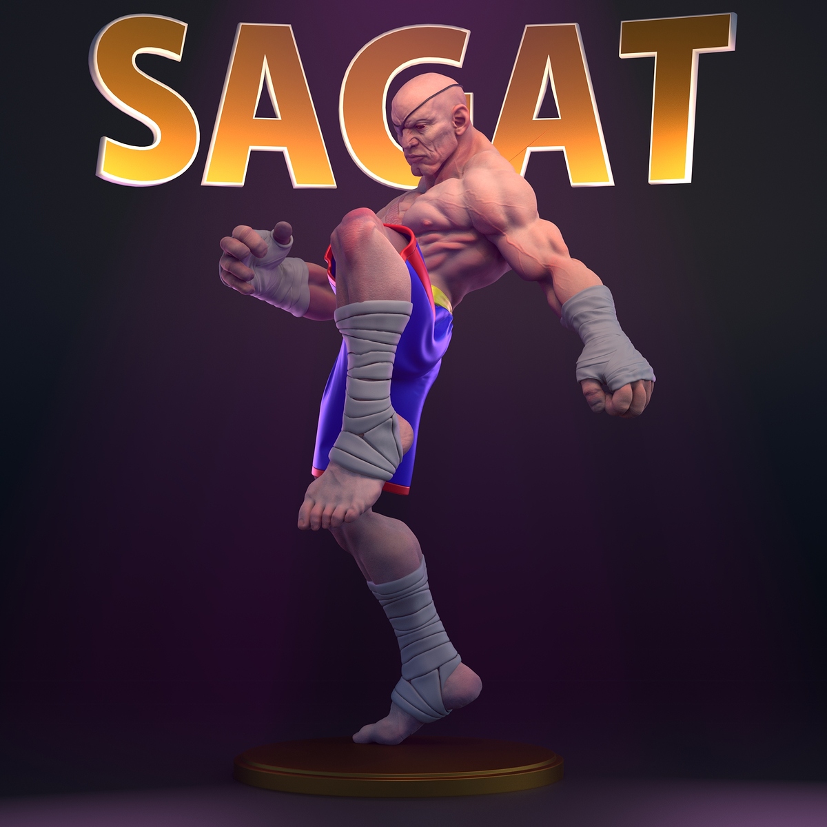 SagatLargeTigerKnee2kv1
