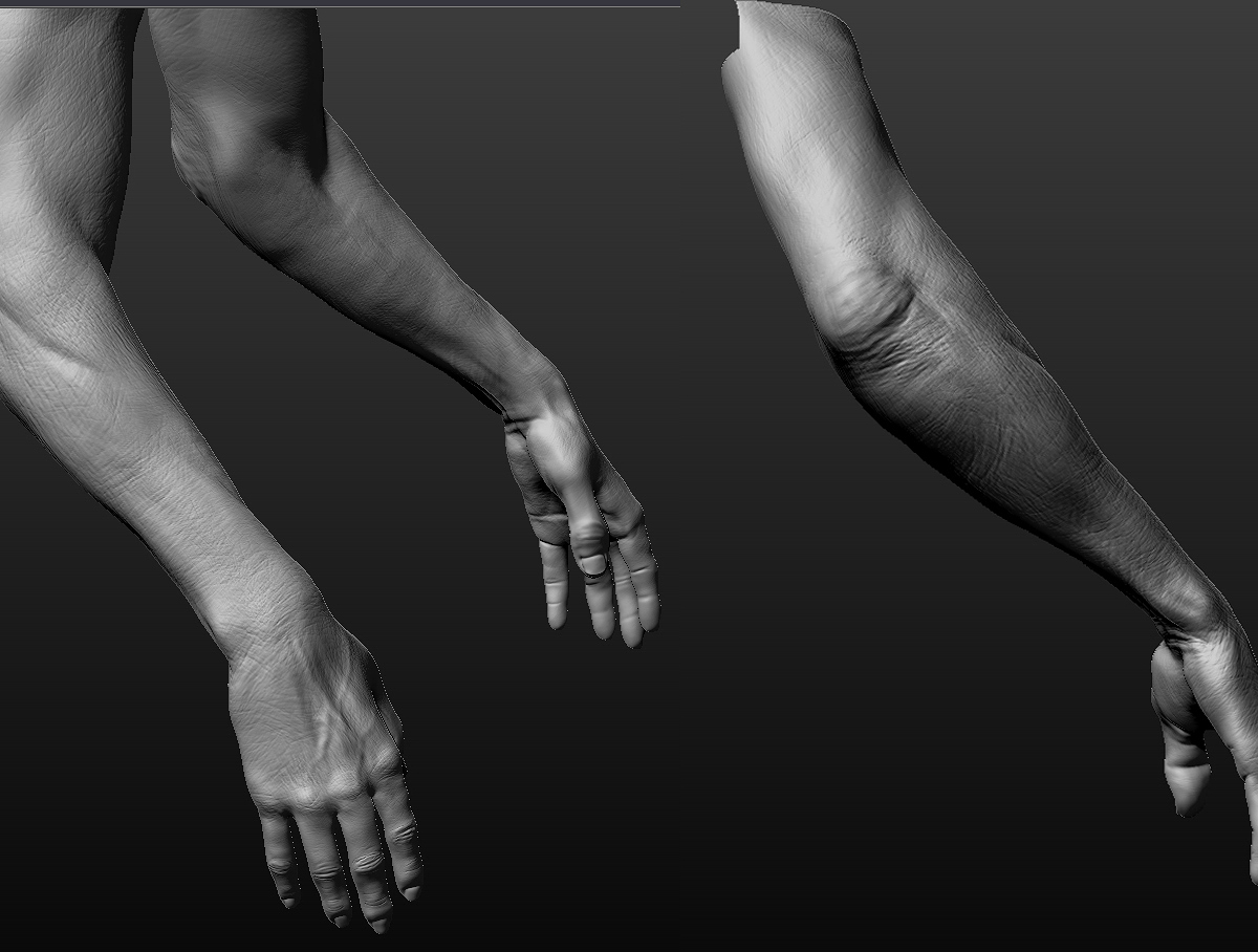 Arms.jpg