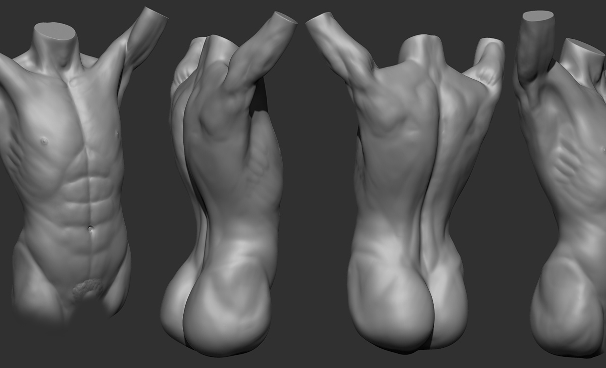 Torso.jpg