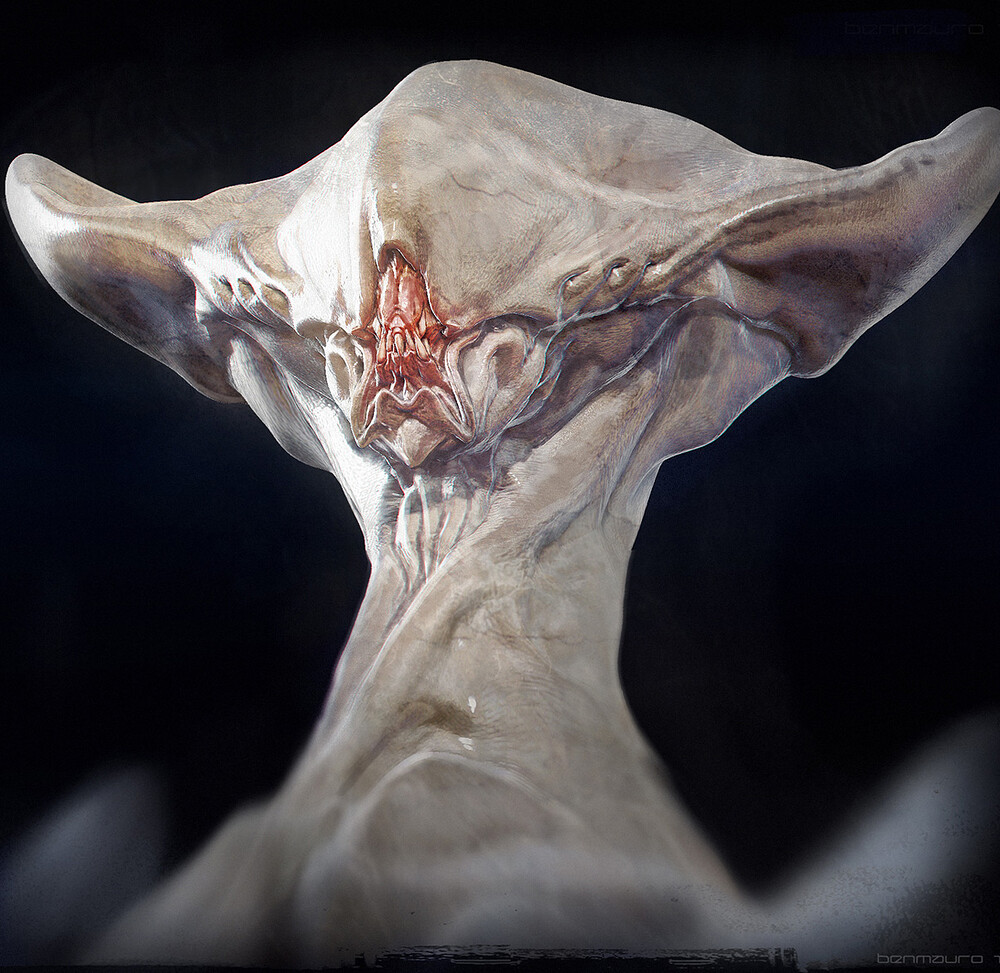 CDW_warmup_02_BM_14_905.jpg