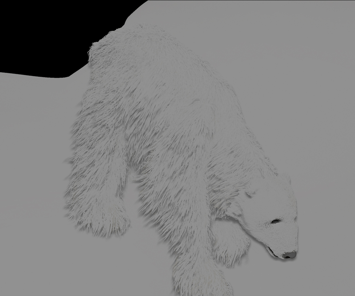POLAR-BEAR-EXPERIMENT-3.jpg