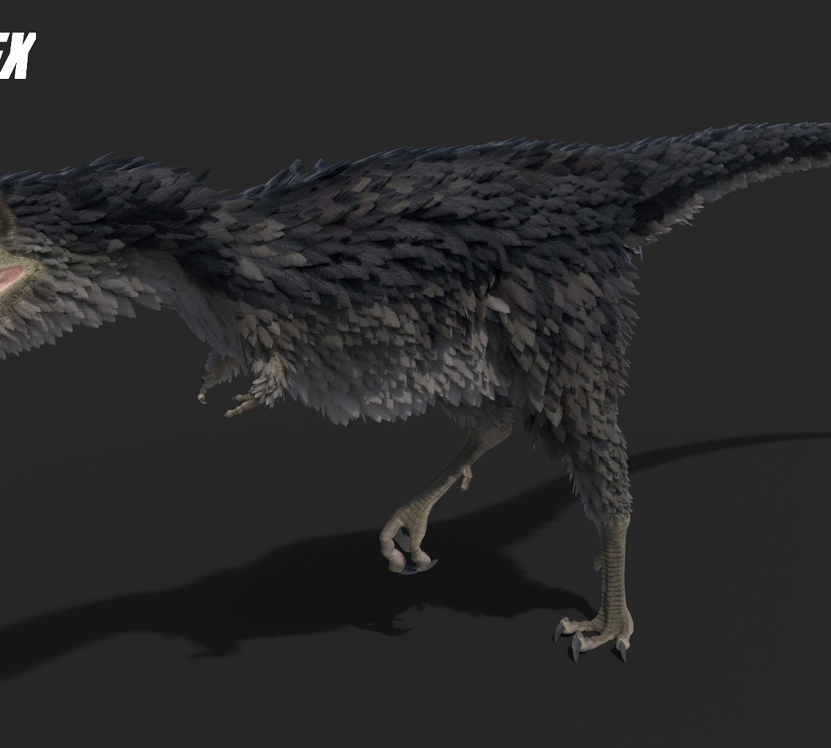 Raptorex1_by_Jeannot_Landry_2018.jpg