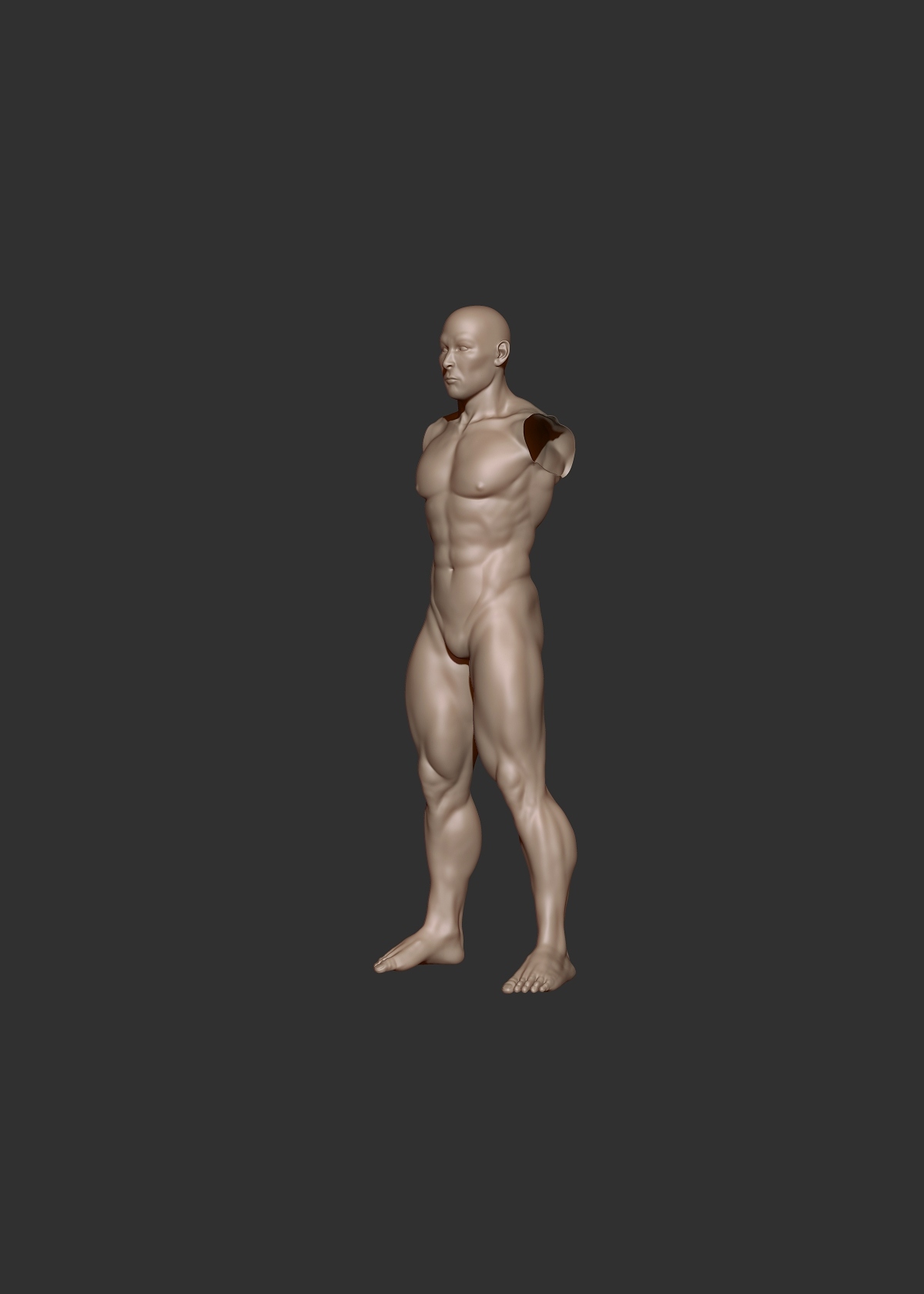 male study_3q.jpg