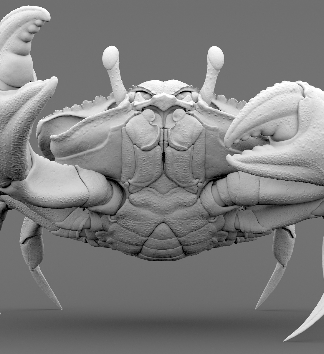 Crab_Shot_02_AO.jpg