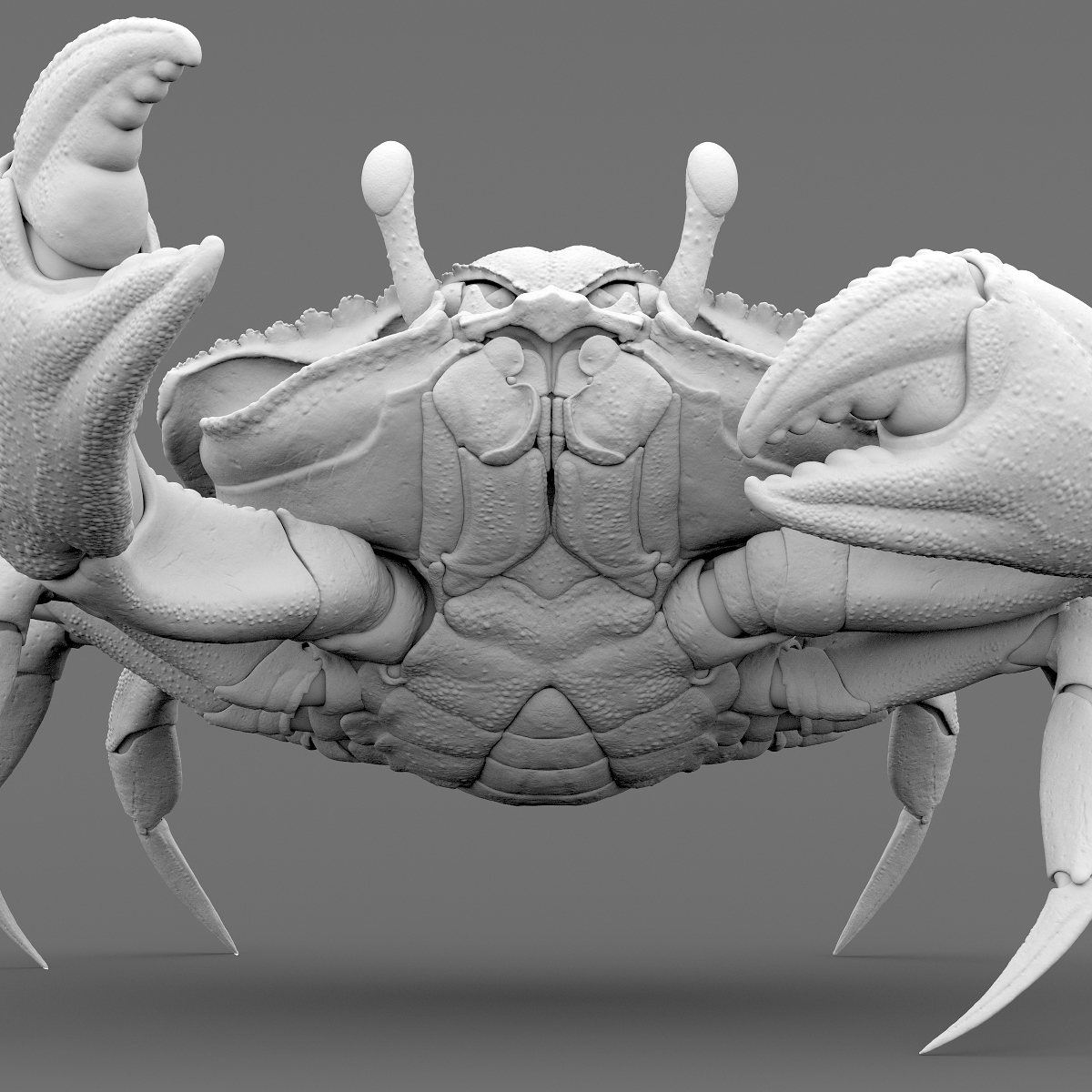 Crab_Shot_02_AO.jpg