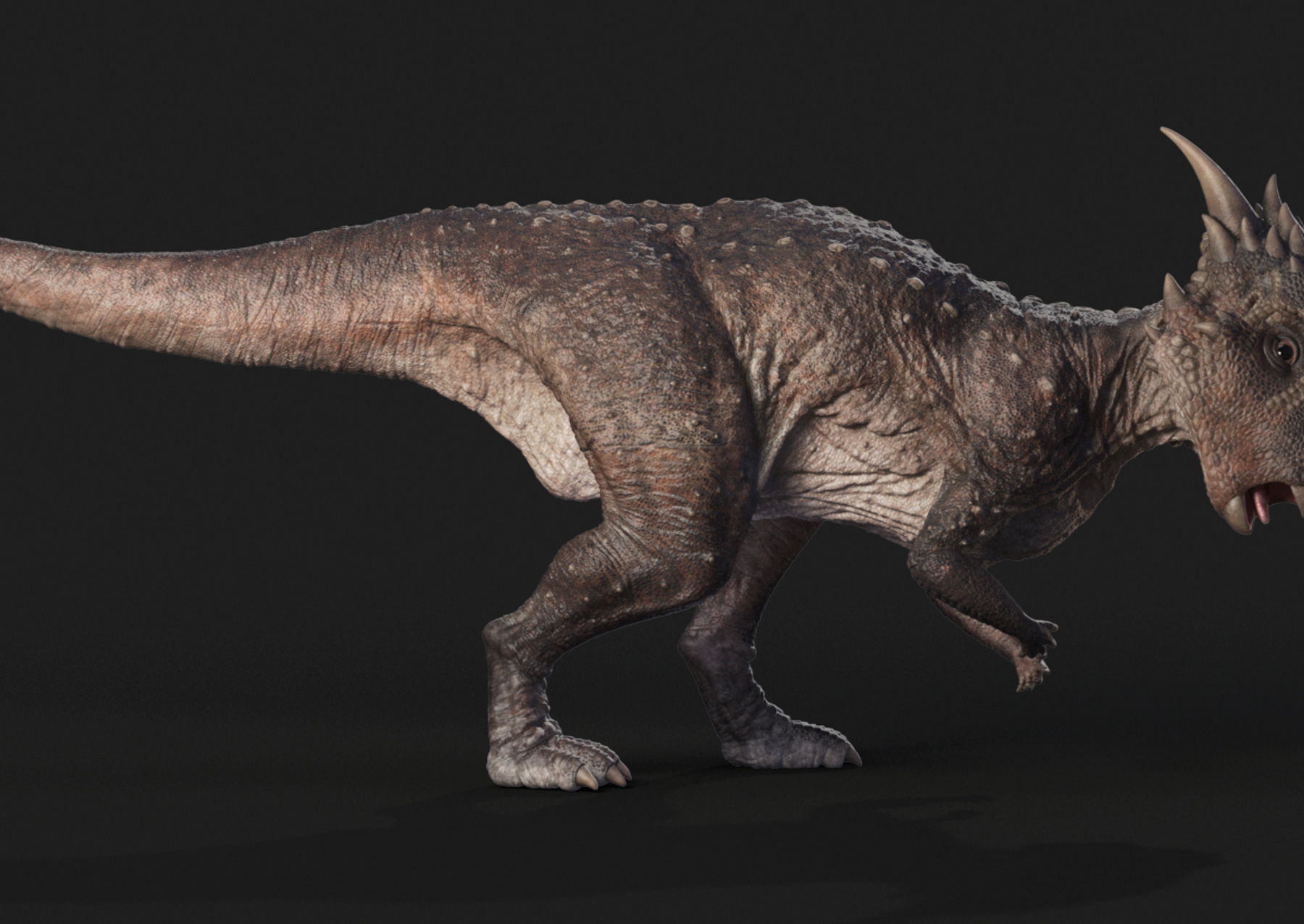 stygimoloch fossil