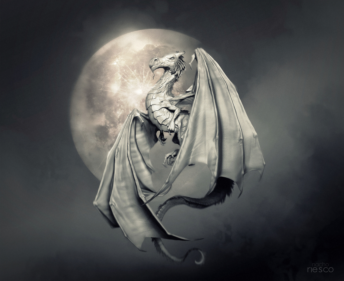 Ilustracion