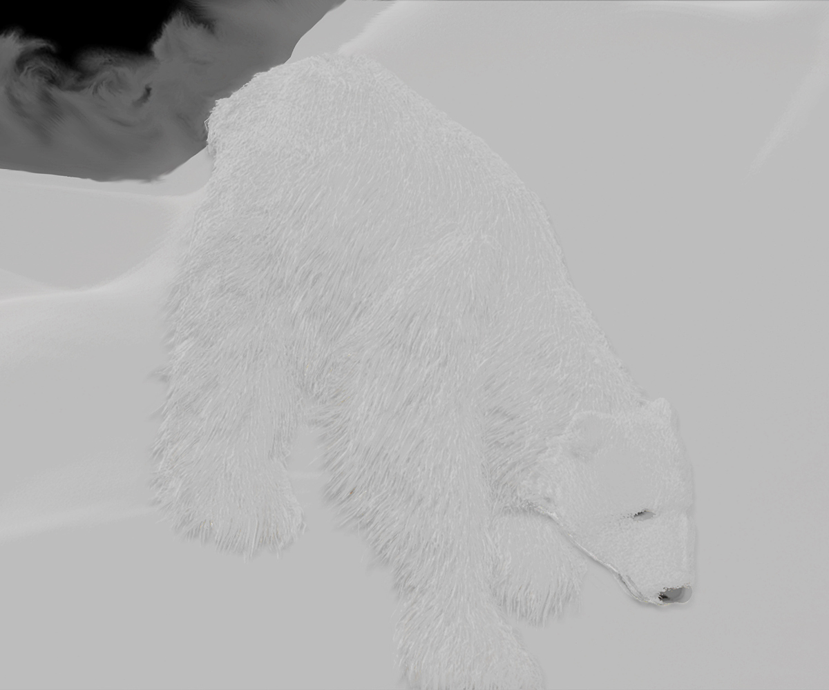 POLAR-BEAR-EXPERIMENT-19.jpg