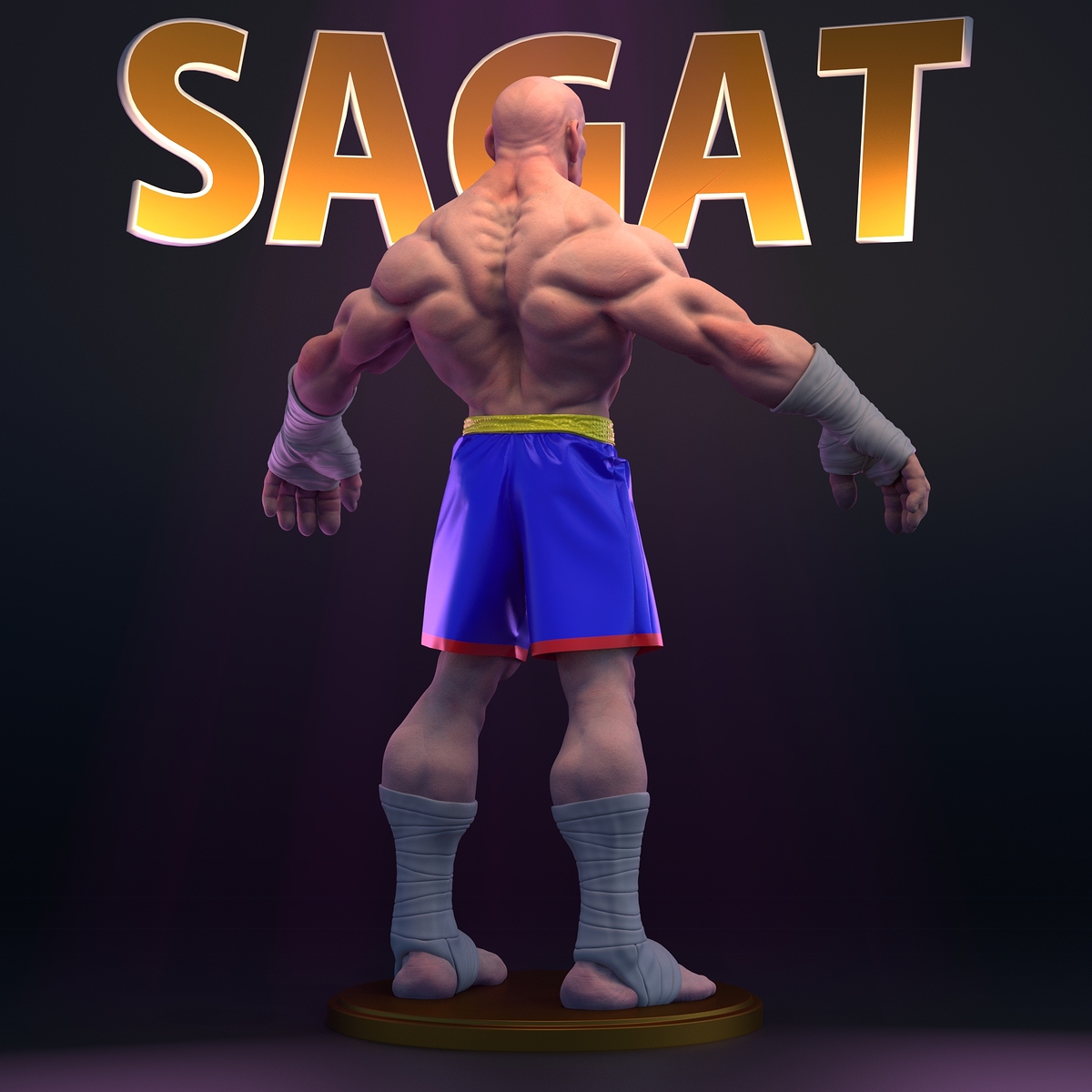 SagatLargeAposeBackCenter2kv1