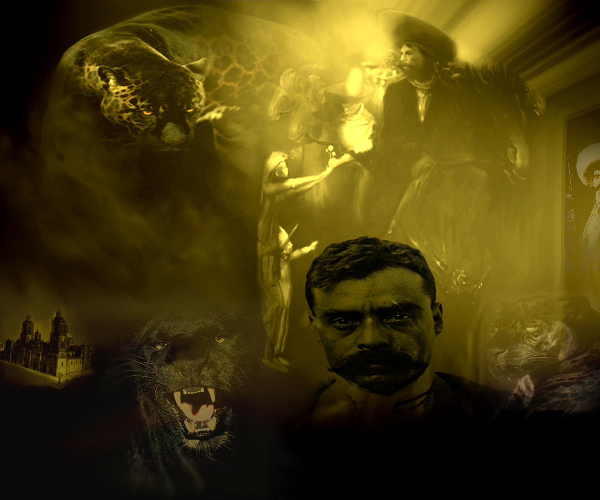 ZAPATA-ROOM-13.jpg