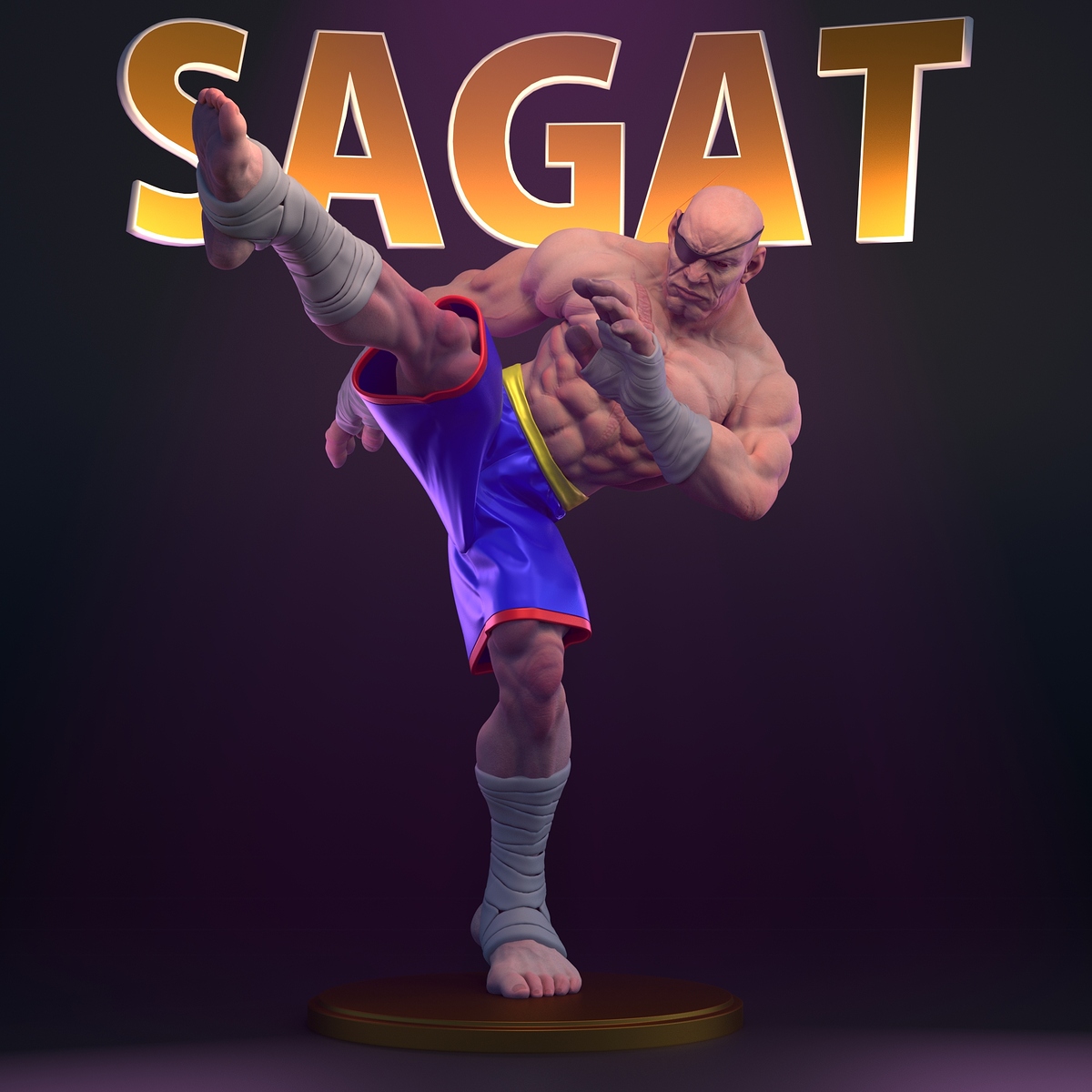 SagatLargeTigerKick2kv1
