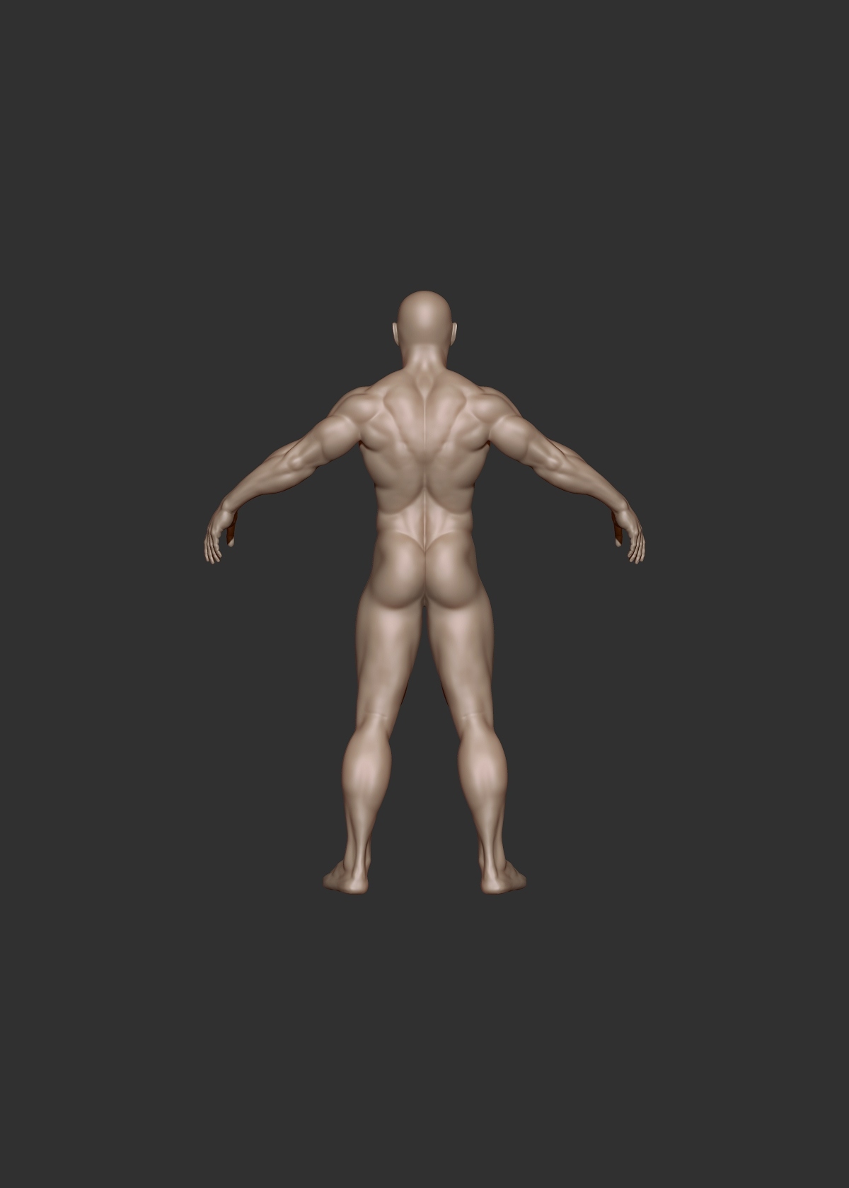 male study_back.jpg