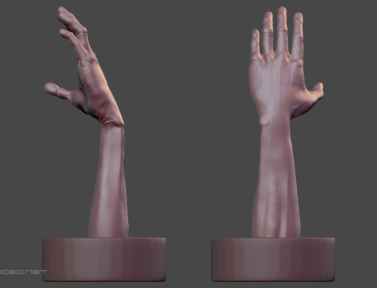 Hand 1.jpg