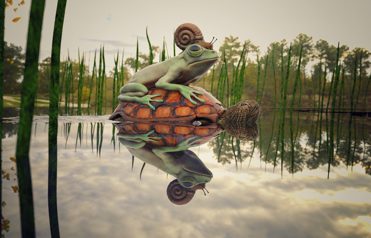 Pond%20Scene
