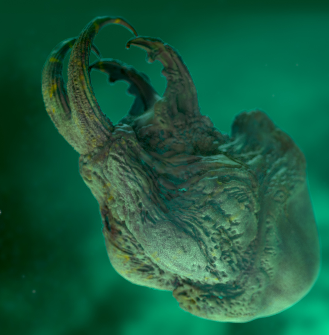 streamCreature_View05.jpg
