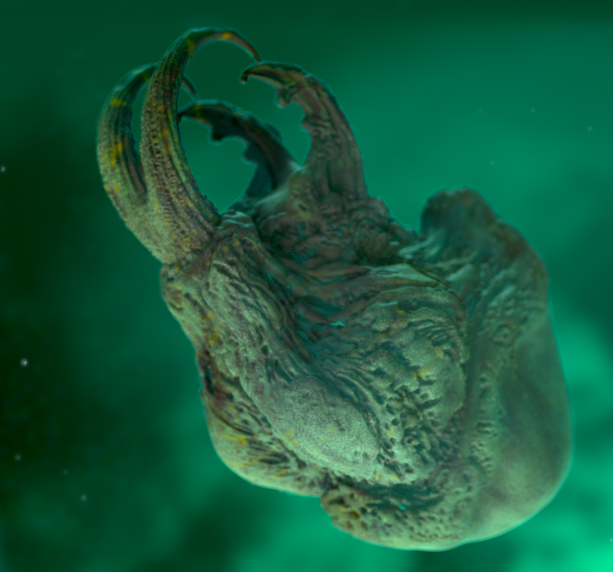 streamCreature_View05.jpg