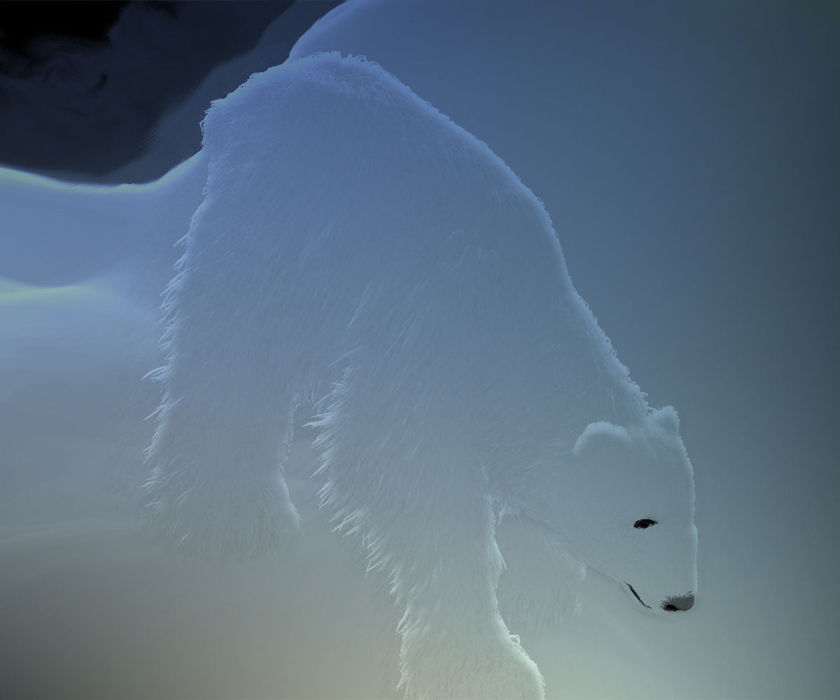 POLAR-BEAR-EXPERIMENT-25.jpg