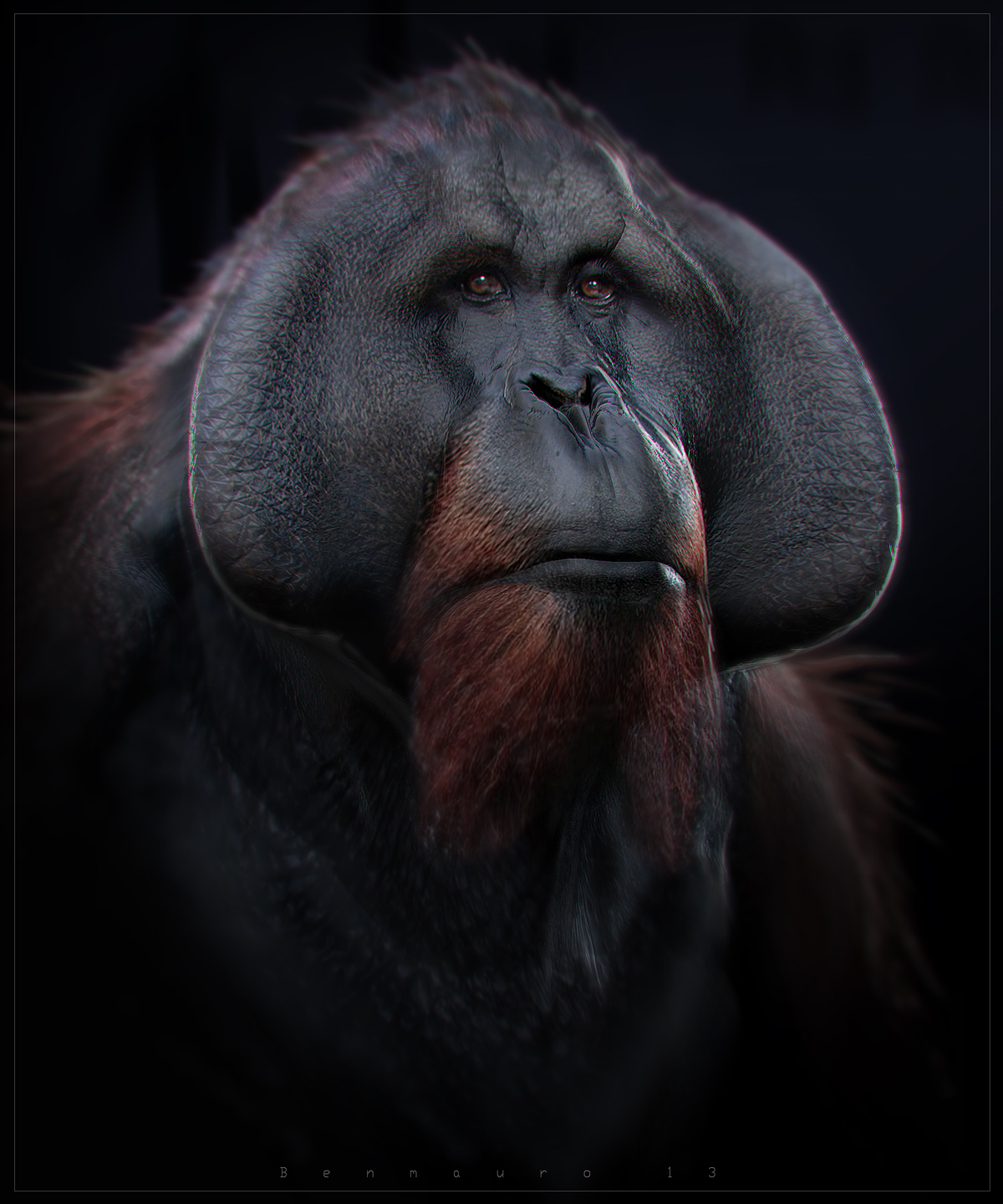 TANG_render_photos_BM_o_o