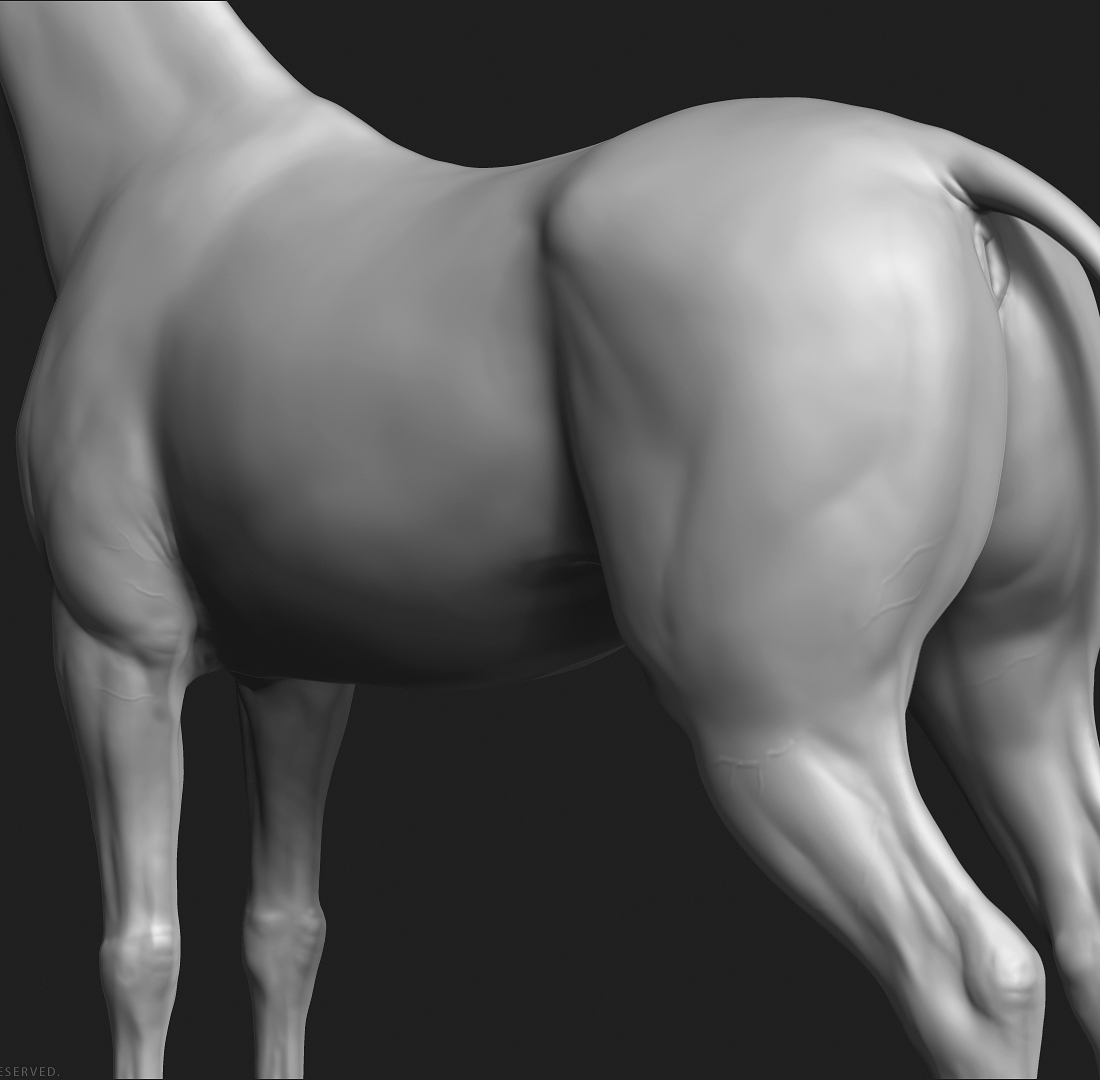 manuelf-3d-Horse-HighPoly_10.jpg