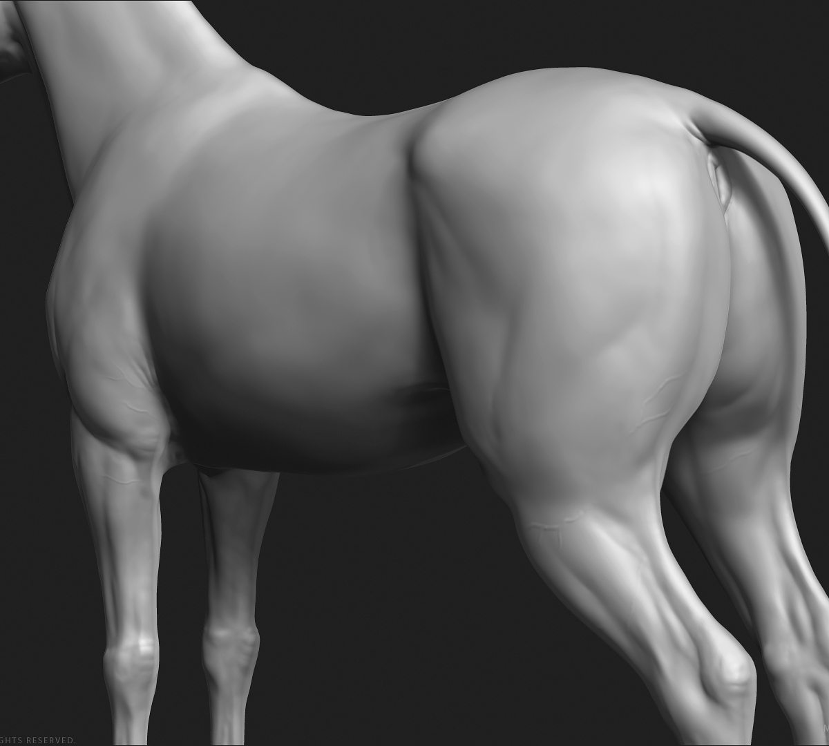 manuelf-3d-Horse-HighPoly_10.jpg