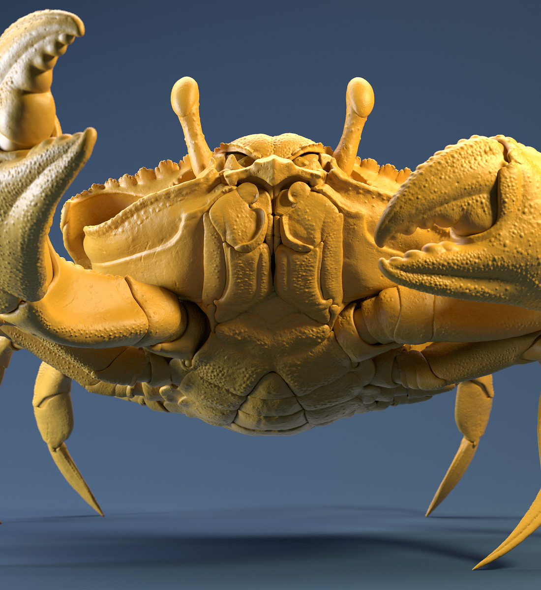 Crab_Yellow_Clay_Shot_02.jpg