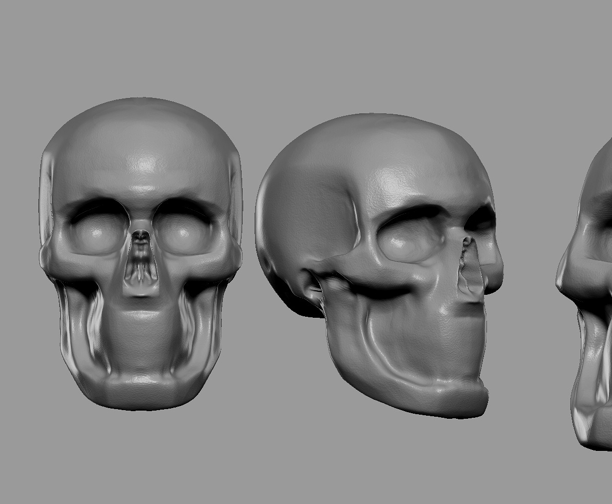 skull.jpg