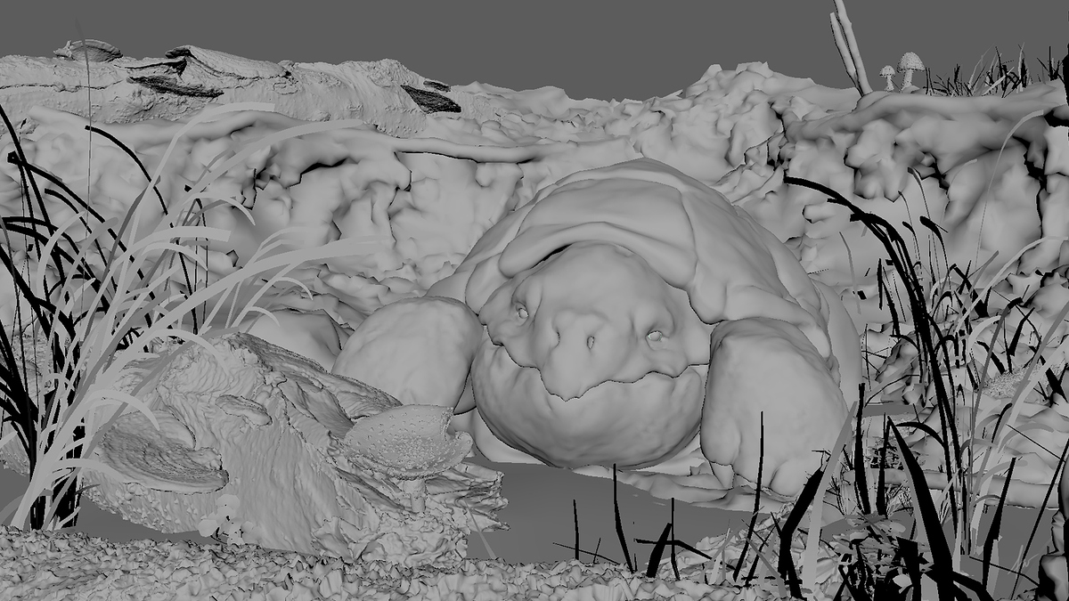 turtle005