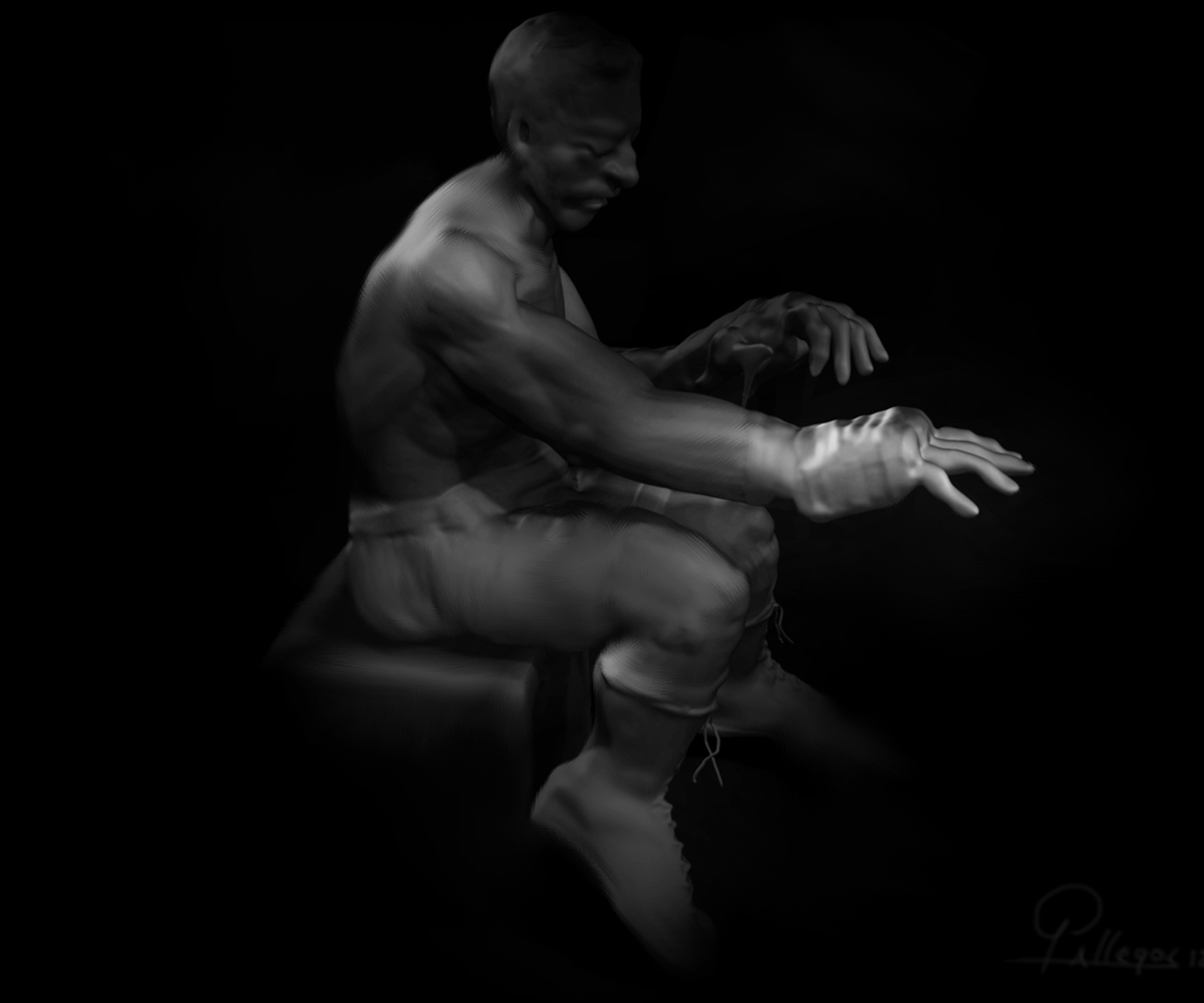 BOXER-LIGHT-STUDY-2.jpg
