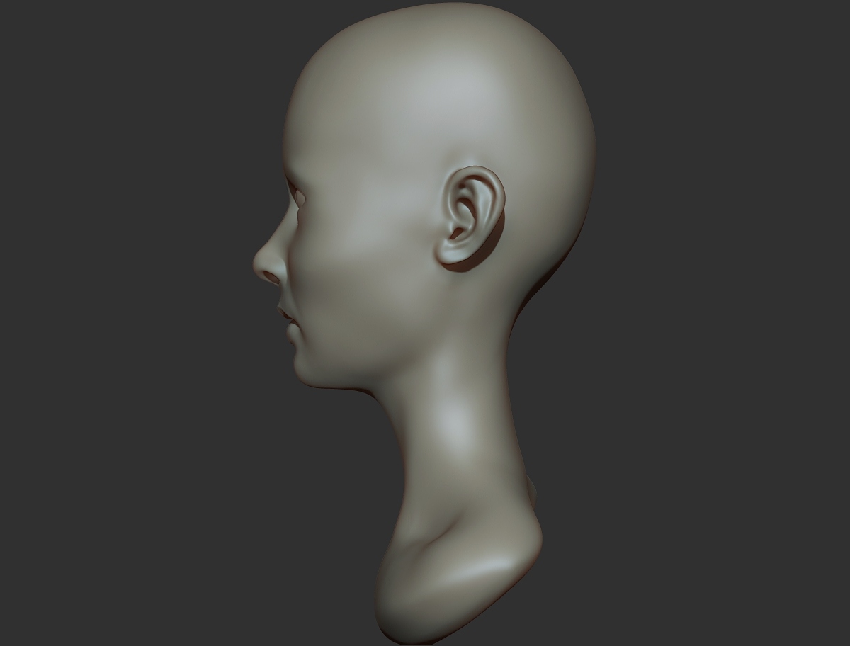 headstudy_profile.jpg