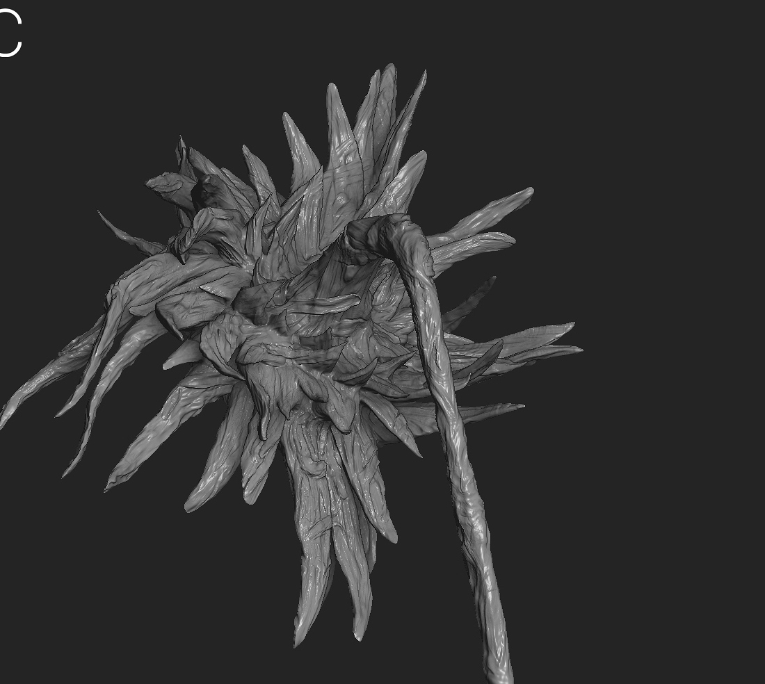 sunflwoer_scaled_down5.jpg