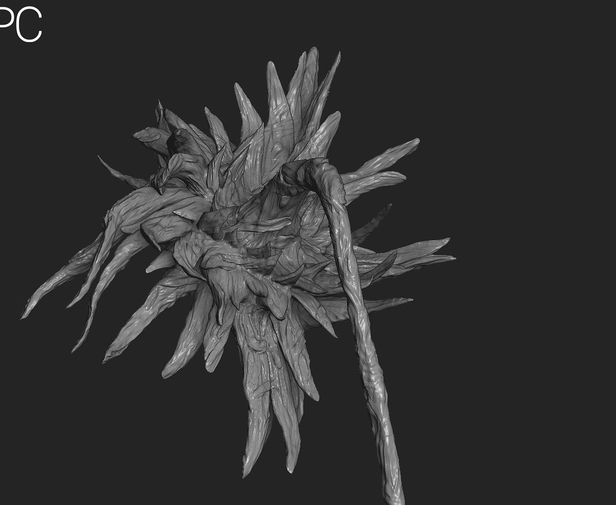 sunflwoer_scaled_down5.jpg