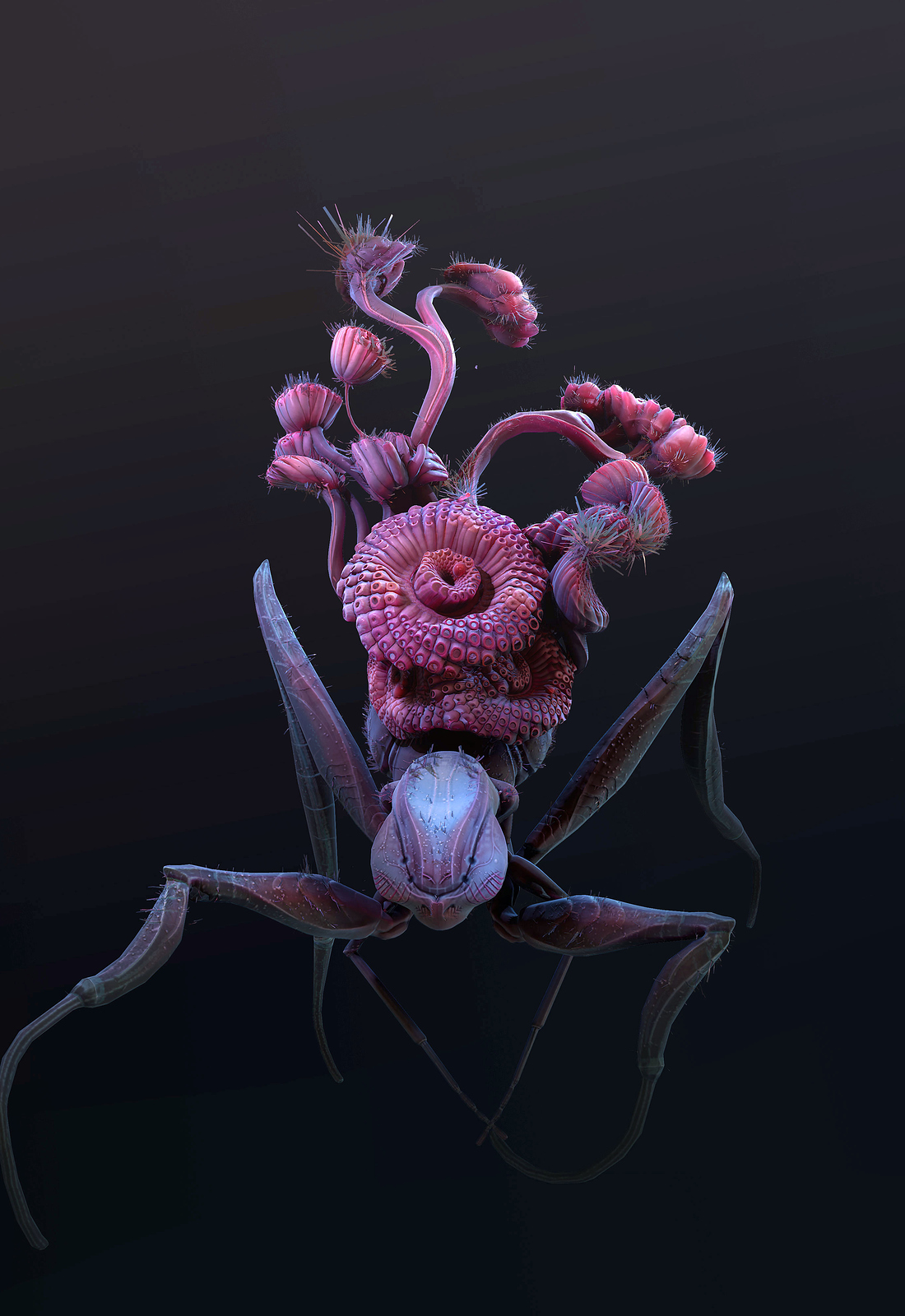 fruitSpider02.jpg