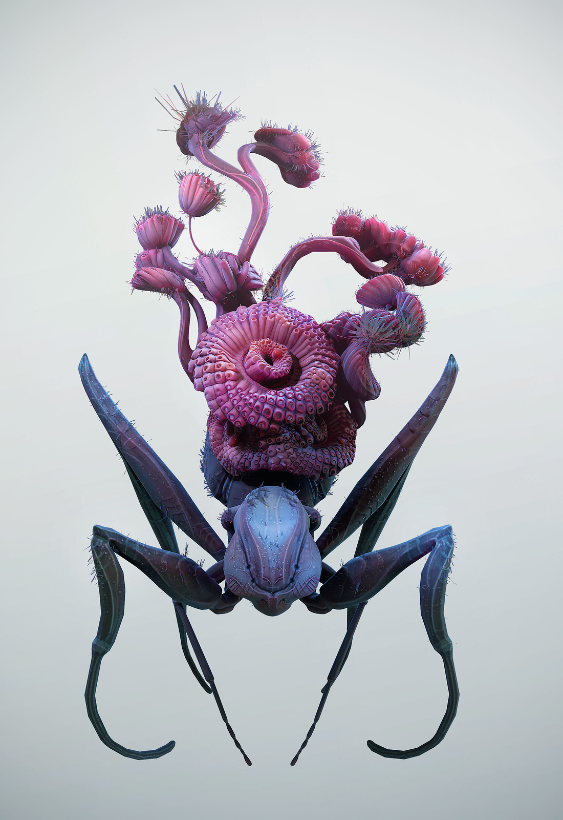 fruitSpider04.jpg