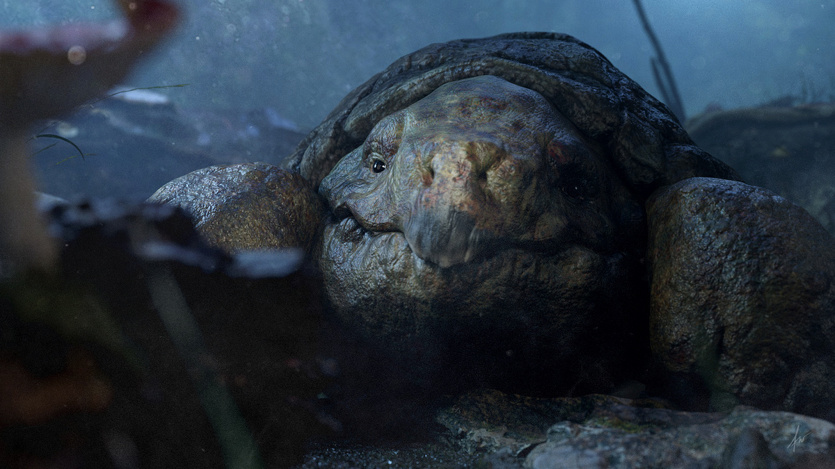 turtle003