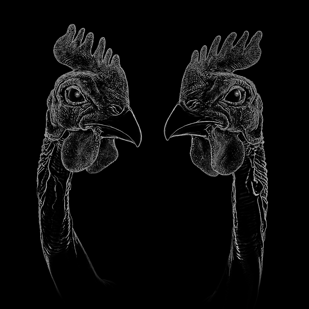 chicken_wip_tease_02_byDirkWachsmuth