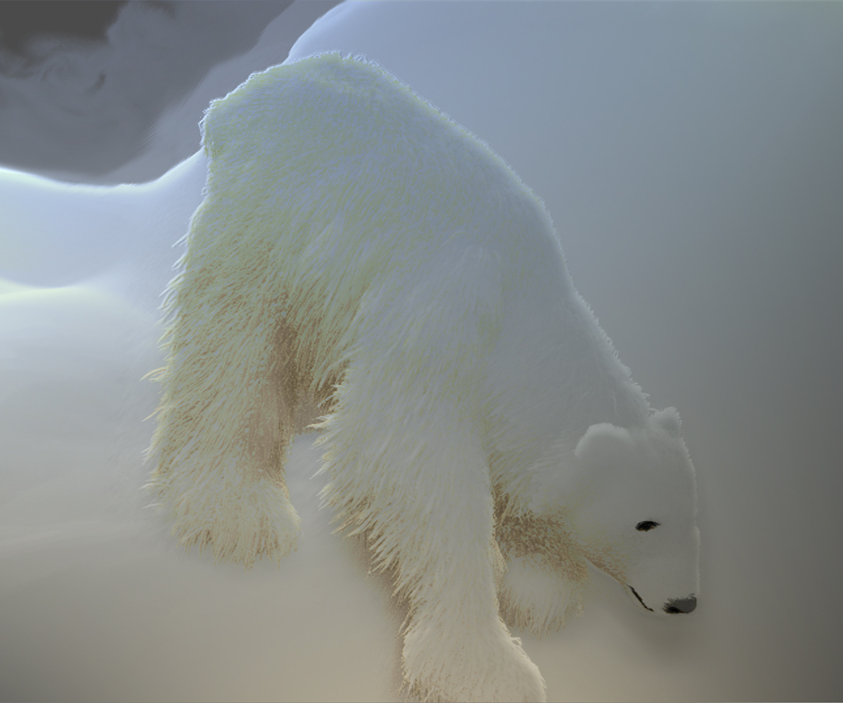POLAR-BEAR-EXPERIMENT-34.jpg