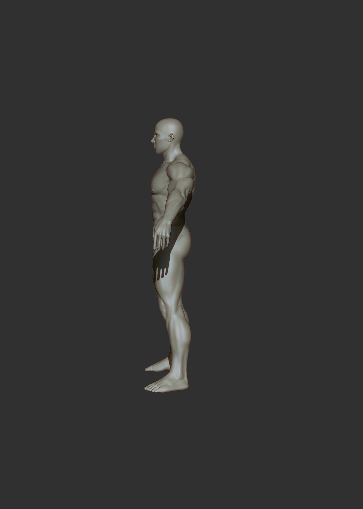 body builder#2_profile.jpg