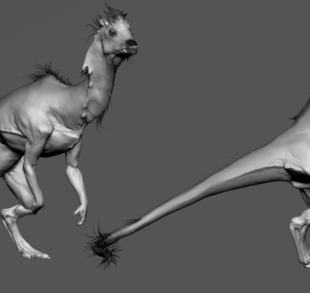 dragon_003.jpg
